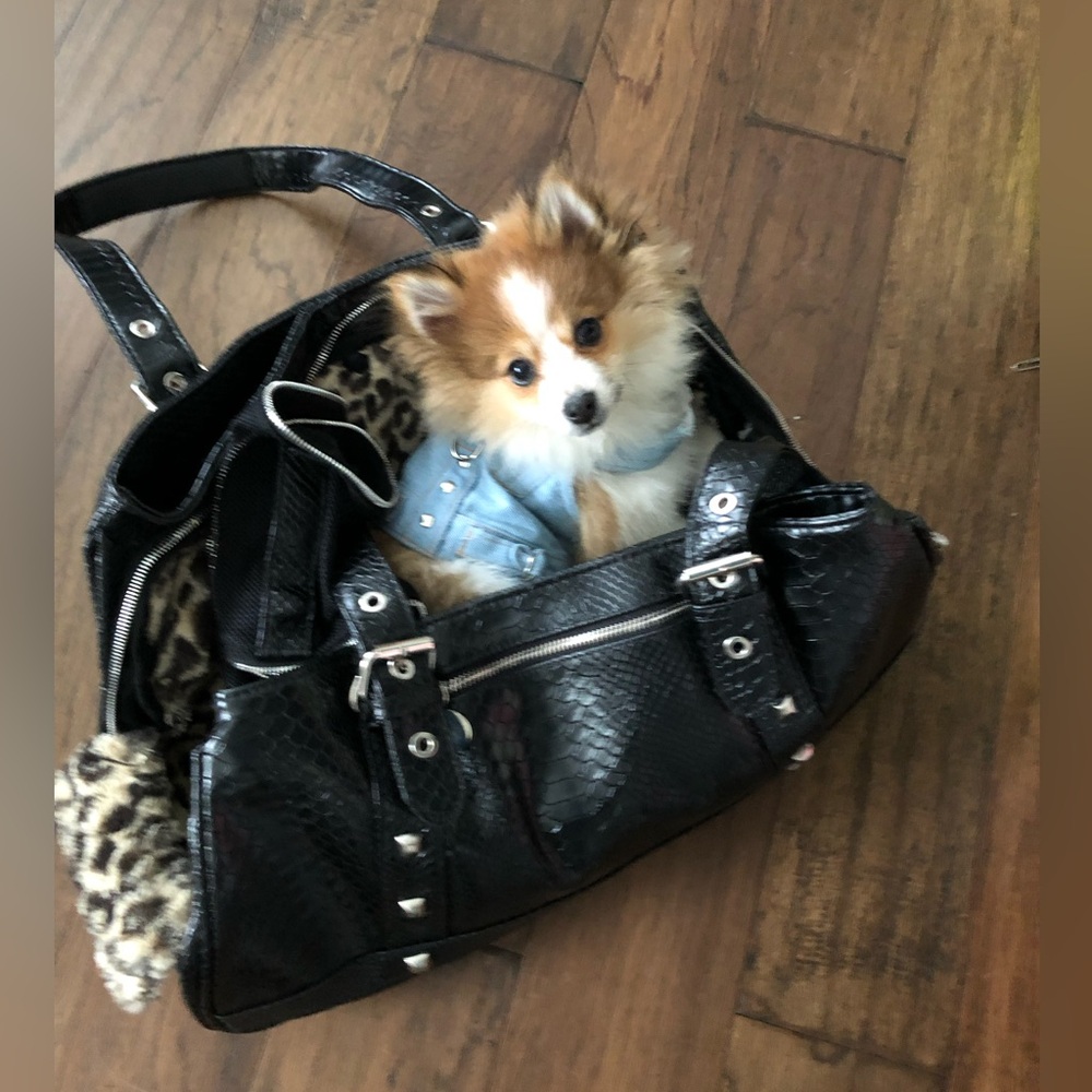 Jeanne Chin Designer Pet Carrier